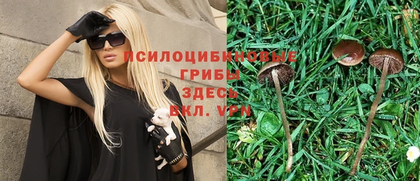 метадон Ростов