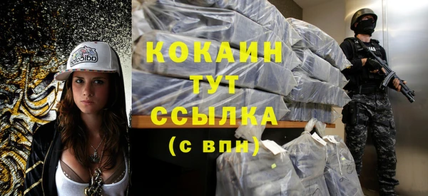 винт Гатчина