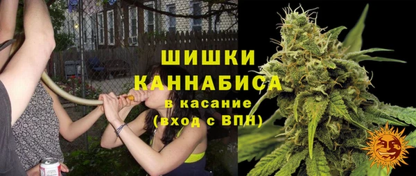 тгк Рославль