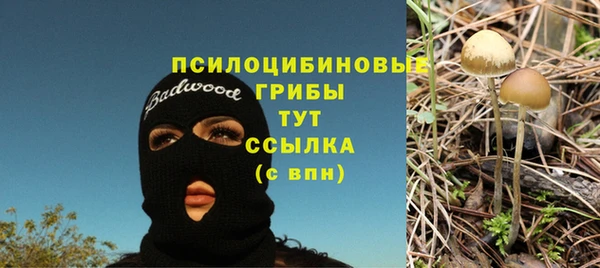 ECSTASY Абаза
