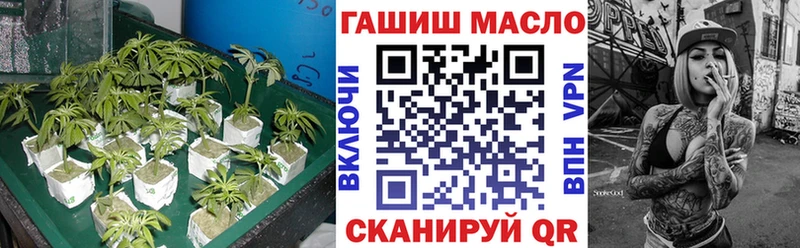 сколько стоит  Карталы  ТГК гашишное масло 